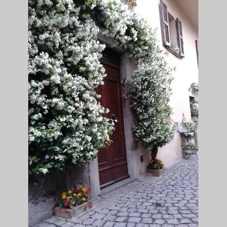 Il Gelsomino Di Isia Villa Orvieto Exterior photo