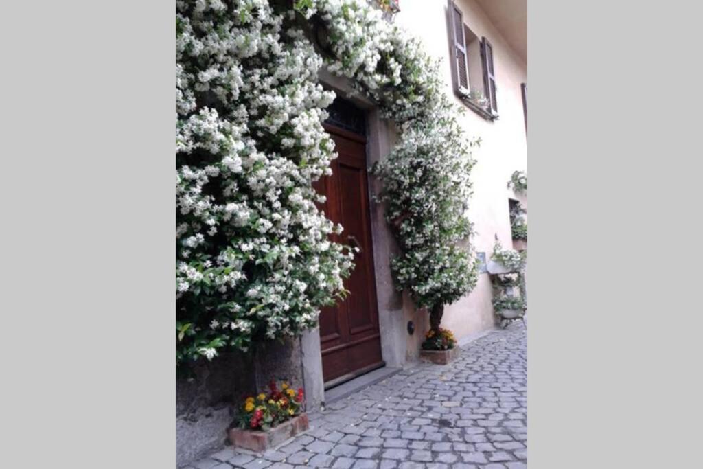 Il Gelsomino Di Isia Orvieto