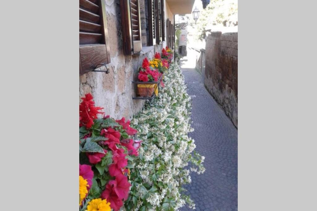 Il Gelsomino Di Isia Holiday home Orvieto