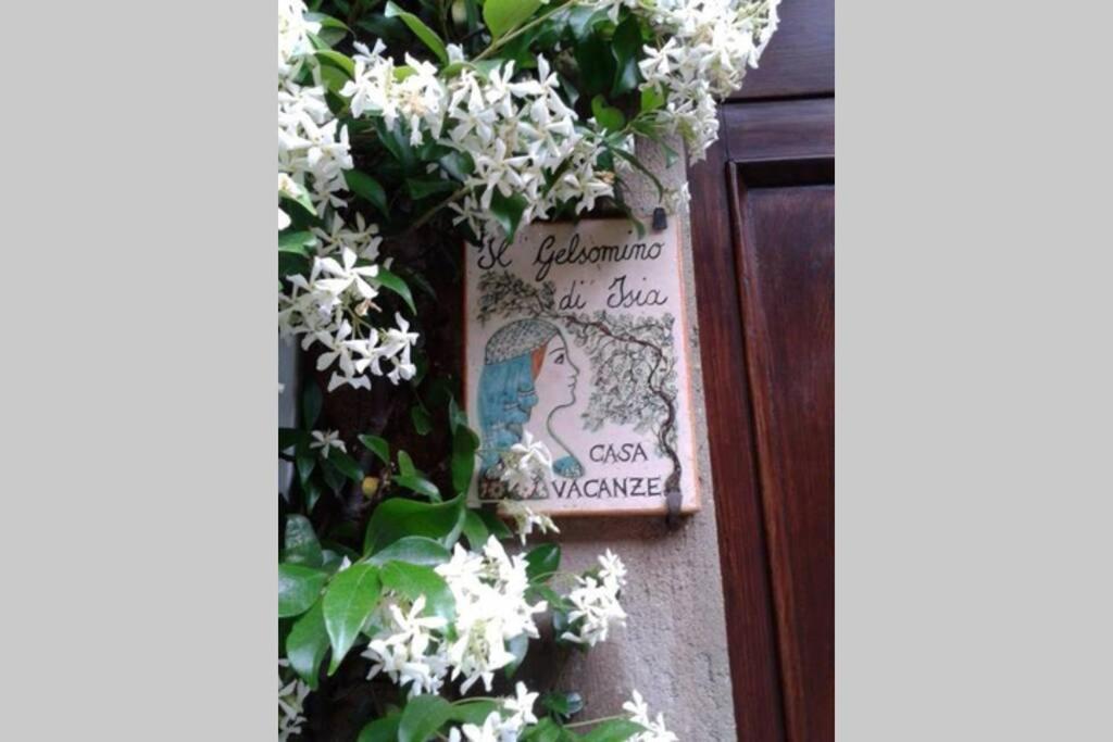 Il Gelsomino Di Isia Holiday home