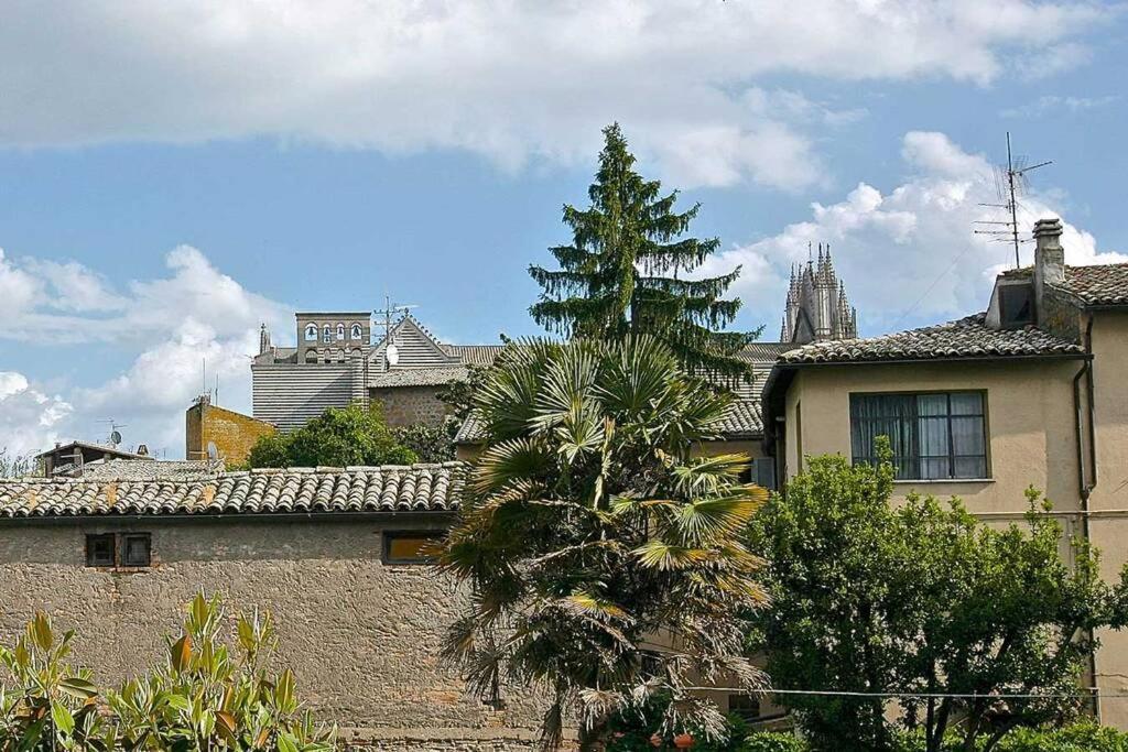 Il Gelsomino Di Isia Orvieto